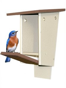 Amish Poly Peterson Bluebird House | Durable and Eco-Friendly