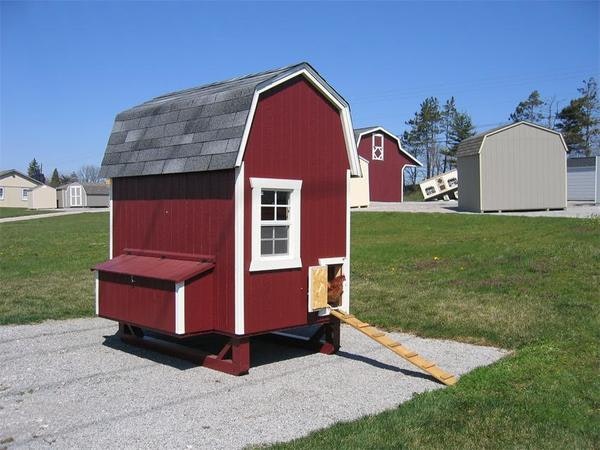 Amish Wood Gambrel Chicken Coop DIY Kit