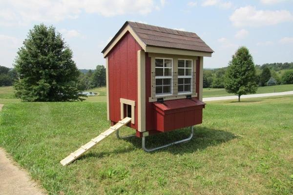 Amish Chicken Coop Kit for 3-6 chickens in backyard.