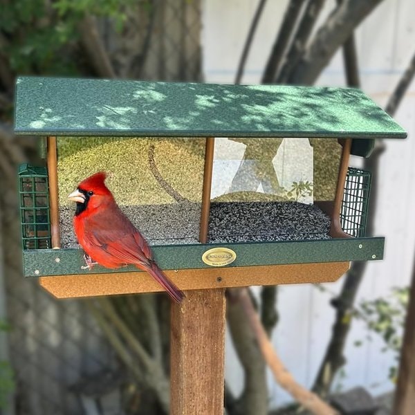 Amish Large Poly Double Bird Feeder with Suet Cages Post Mount