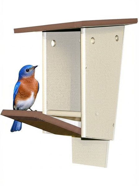 Amish Poly Bluebird House