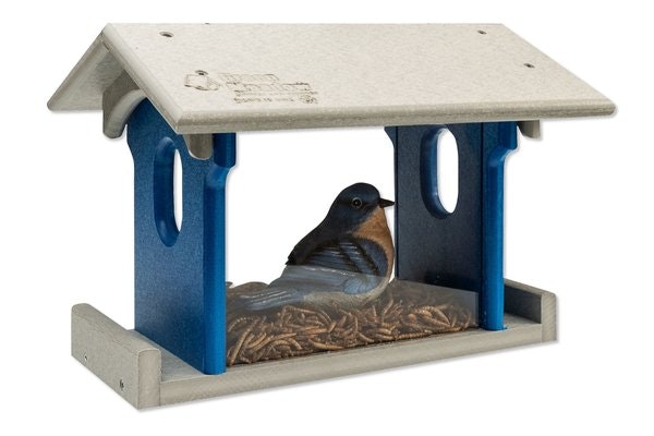 Amish Made Recycled Poly Bluebird Feeder for Feeding Mealworms