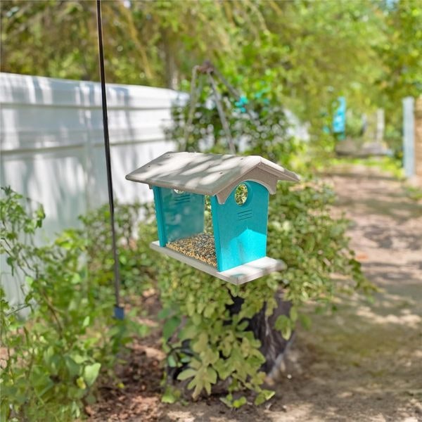 Amish Poly Bluebird Feeder for Mealworms with Entrance Hole - DutchCrafters Exclusive
