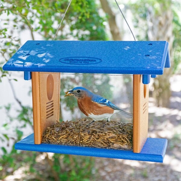 Bluebird Mealworm Feeder | Starling Proof | Amish Made