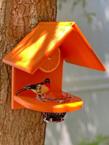 Amish Poly Wall Mount Single Oriole Bird Feeder - DutchCrafters Exclusive