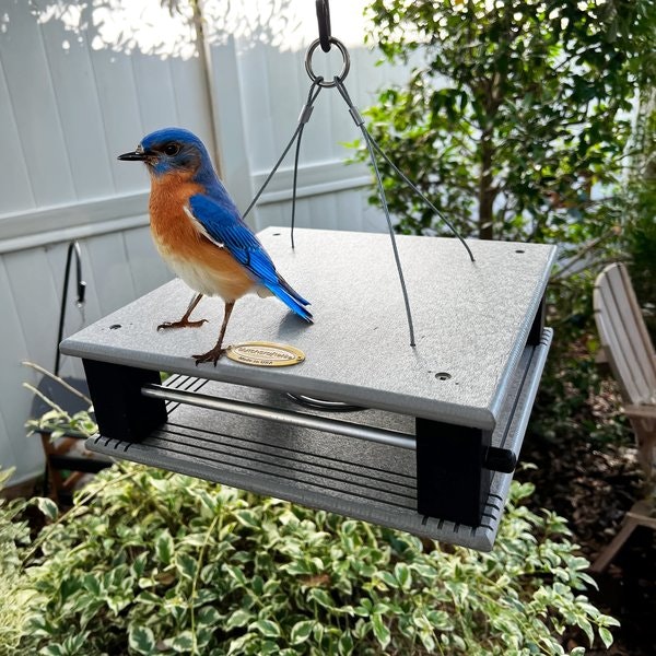 Amish Large Poly Gilbertson Bluebird Feeder