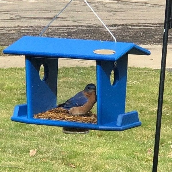 Amish Made Poly Hanging Bluebird Feeder for Mealworms