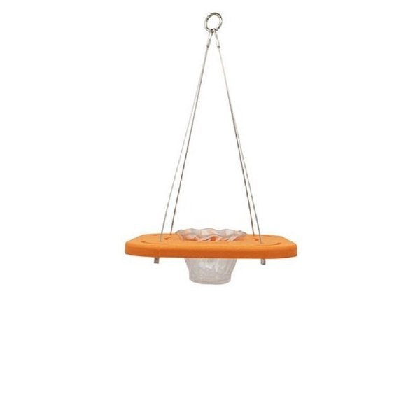 Amish Made Poly Oriole Single Cup Feeder