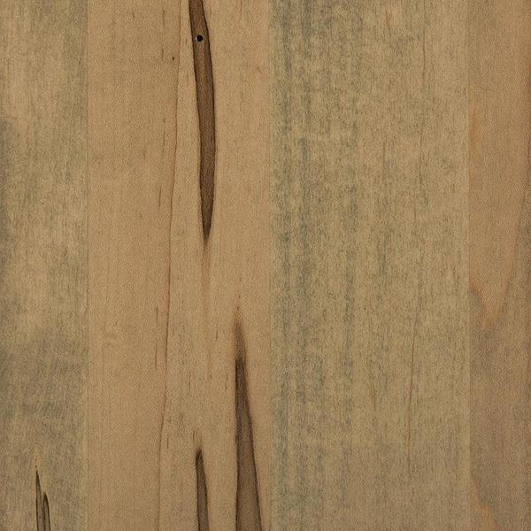 PCL Sample - Wormy Maple - Seashell