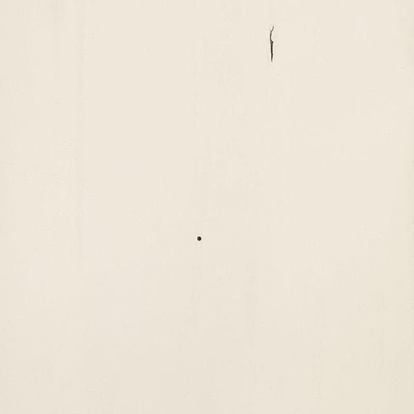 PCL Sample - Wormy Maple - Muted White with 10 Sheen Varnish