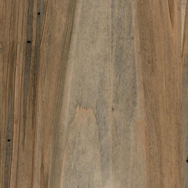 PCL Sample - Wormy Maple - Bel Air