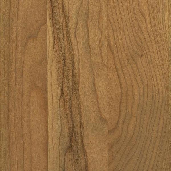 PCL Sample -Sap Cherry - Seashell