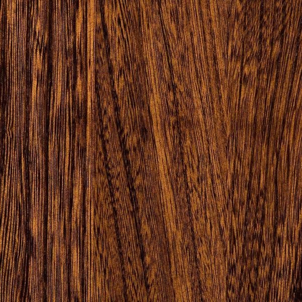 PCL Sample - Elm - Tavern