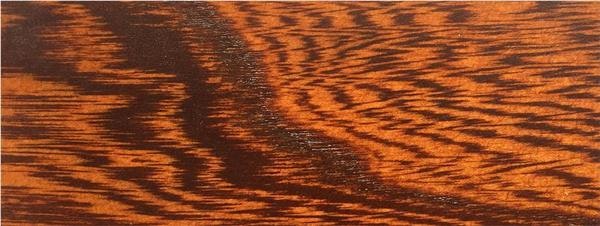 OCS Sample - Elm - 225 Mission Maple