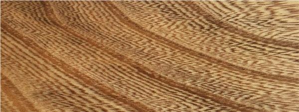 OCS Sample - Elm - 101-S2