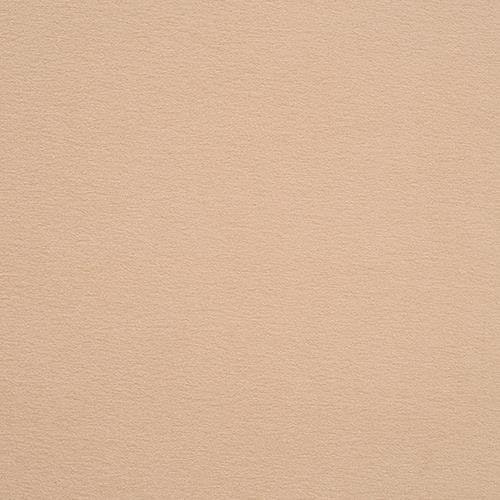 Heartland Upholstery Sample - Crypton - C02-10 - Stew