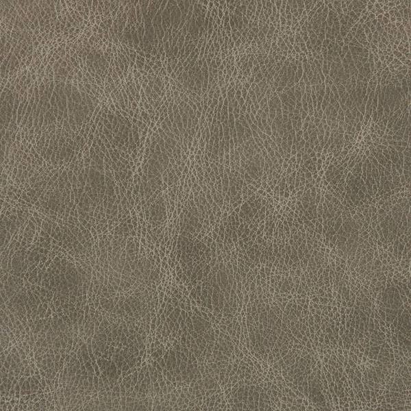Heartland Upholstery Sample - Genuine Leathers - Fossil