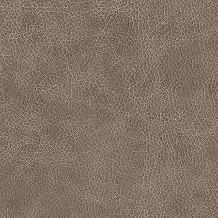 Heartland Upholstery Sample - Genuine Leathers - Mushroom