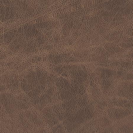 Heartland Upholstery Sample - Genuine Leathers - Rum