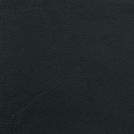 Heartland Upholstery Sample - Genuine Leathers - Tapestry