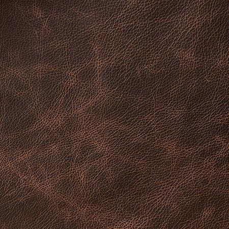 Heartland Upholstery Sample - Genuine Leathers - Texas