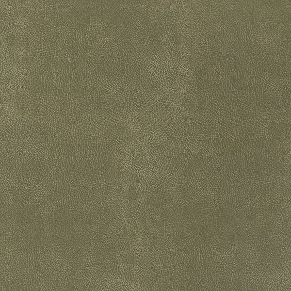 Heartland Upholstery Sample - Ultraleather U3-55 Prairie
