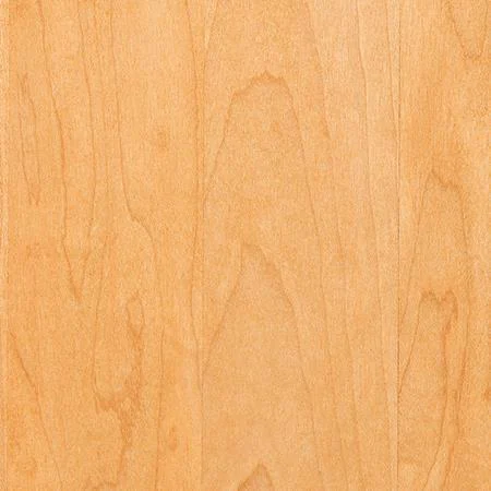 PCL Sample - Hard Maple - Honey